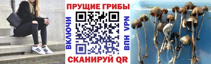 даркнет формула  Плавск  Галлюциногенные грибы ЛСД  как найти наркотики  ОМГ ОМГ зеркало 